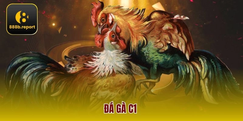 Đá Gà C1 888b – Kịch Tính, Hấp Dẫn Và Chiến Thuật Đỉnh Cao