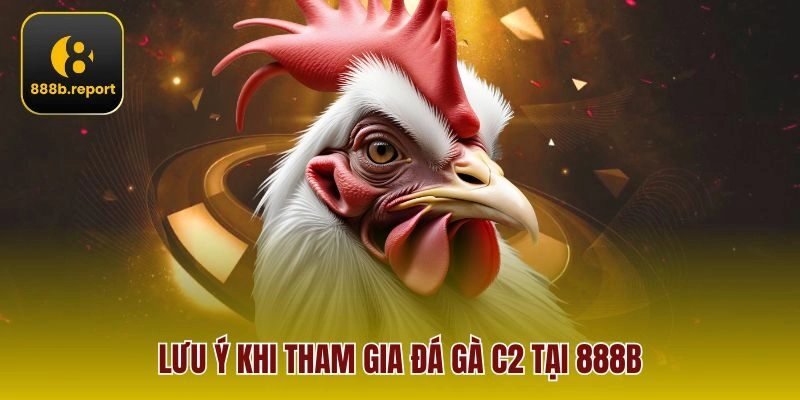 Lưu ý khi tham gia đá gà C2 tại 888b